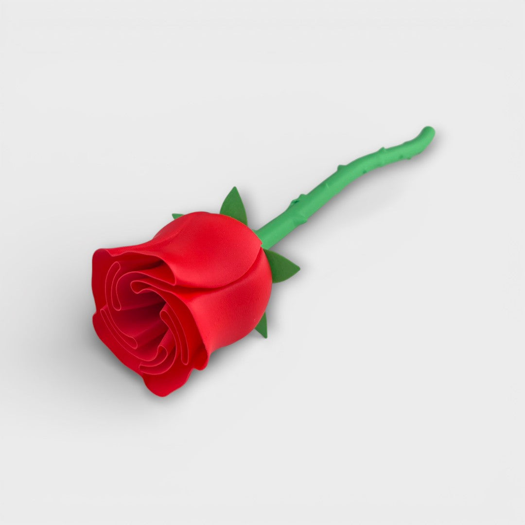 Valentin Rose