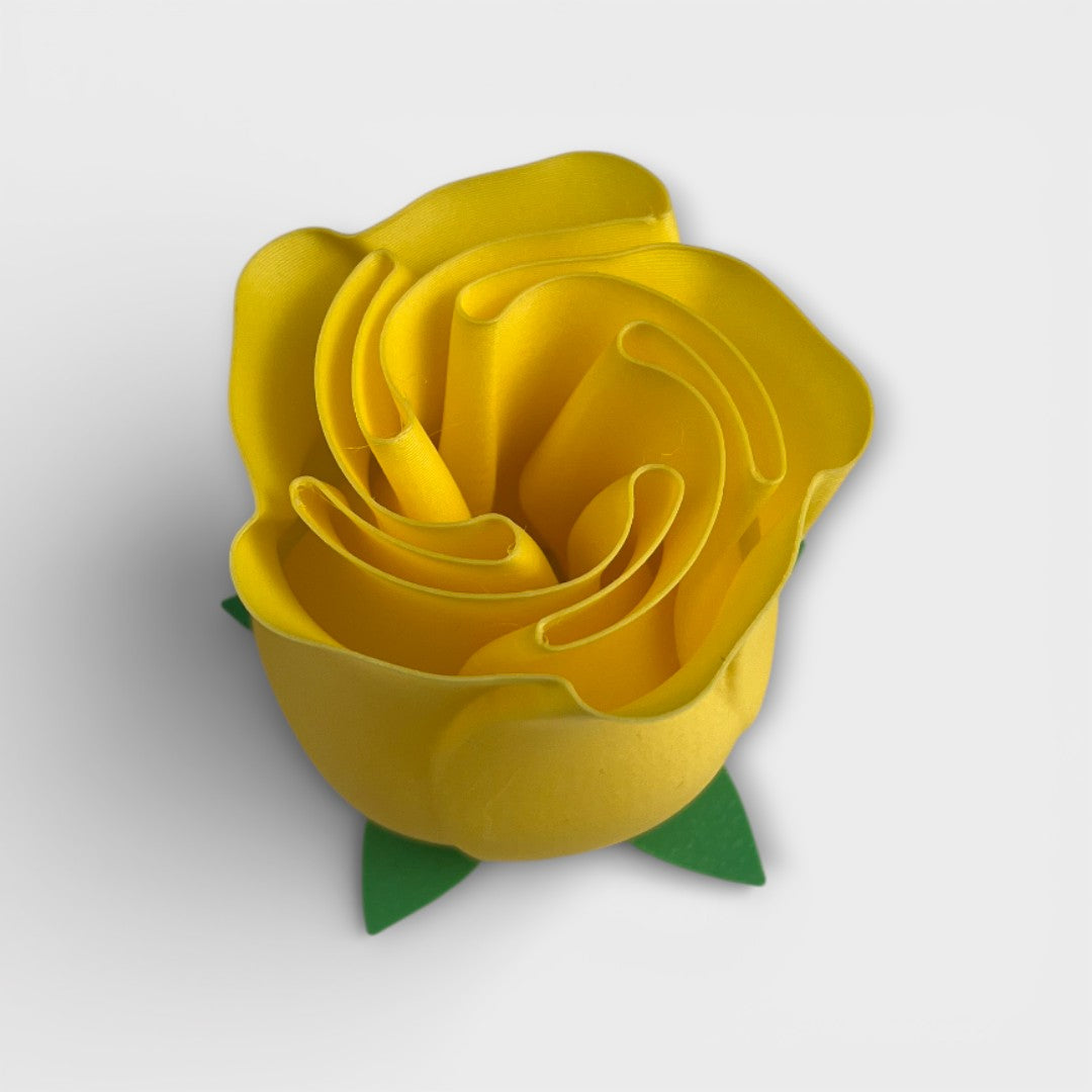 Valentin Rose