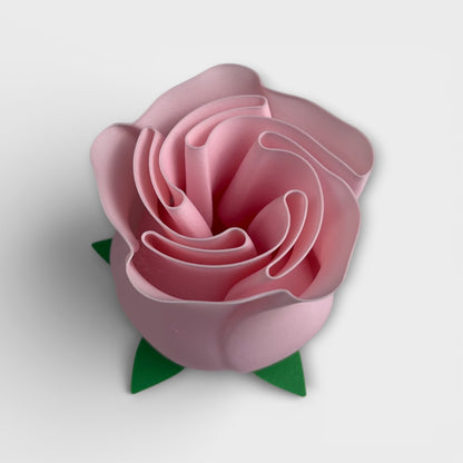 Valentin Rose