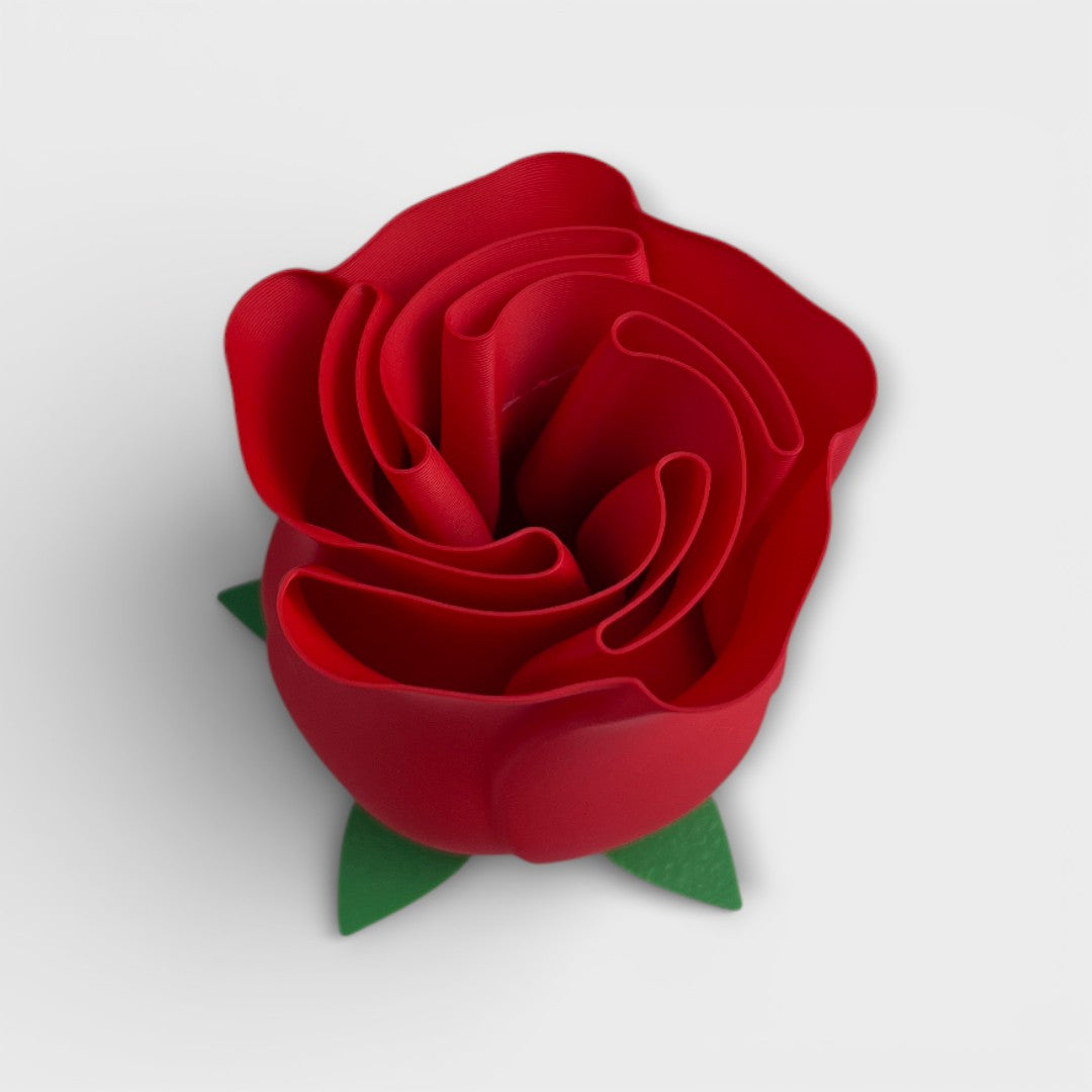 Valentin Rose