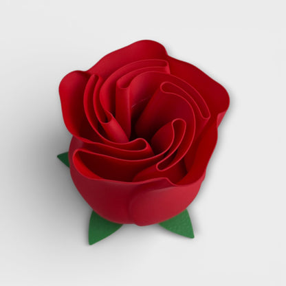 Valentin Rose